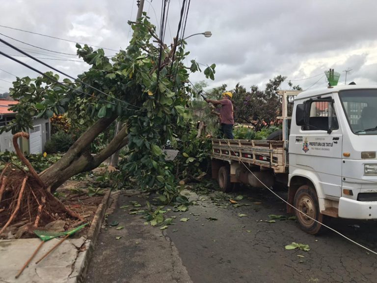 Marquinho da Santa Casa pede atenção em relação às árvores para evitar riscos à população